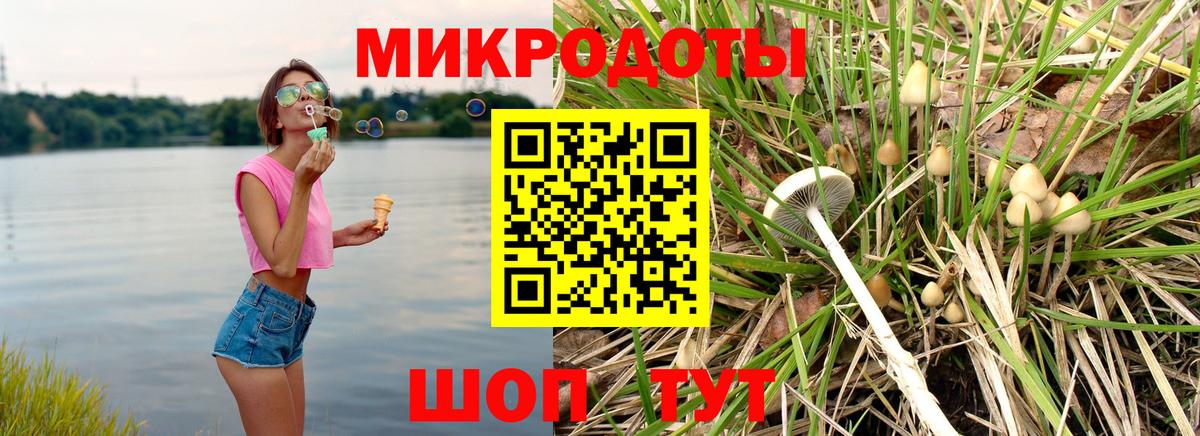 Новороссийск  где продают наркотики  Вход с VPN  Галлюциногенные грибы Cubensis 