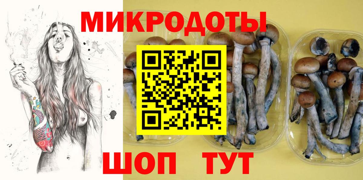 Галлюциногенные грибы мицелий Новороссийск