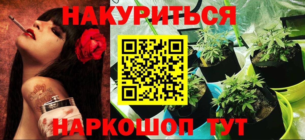 Бошки Шишки план  Каннабис марихуана  Новороссийск  Конопля MAZAR  Вход с VPN  Конопля планчик 